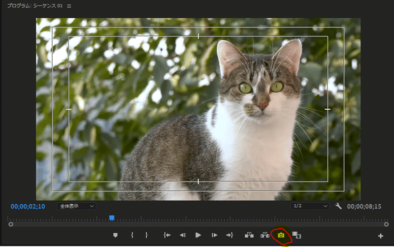 メモ ウェディングムービーに使えるスナップ写真動画の作り方 Animation Labo Note メモ ウェディングムービーに使えるスナップ写真動画の作り方 Animation Labo Note