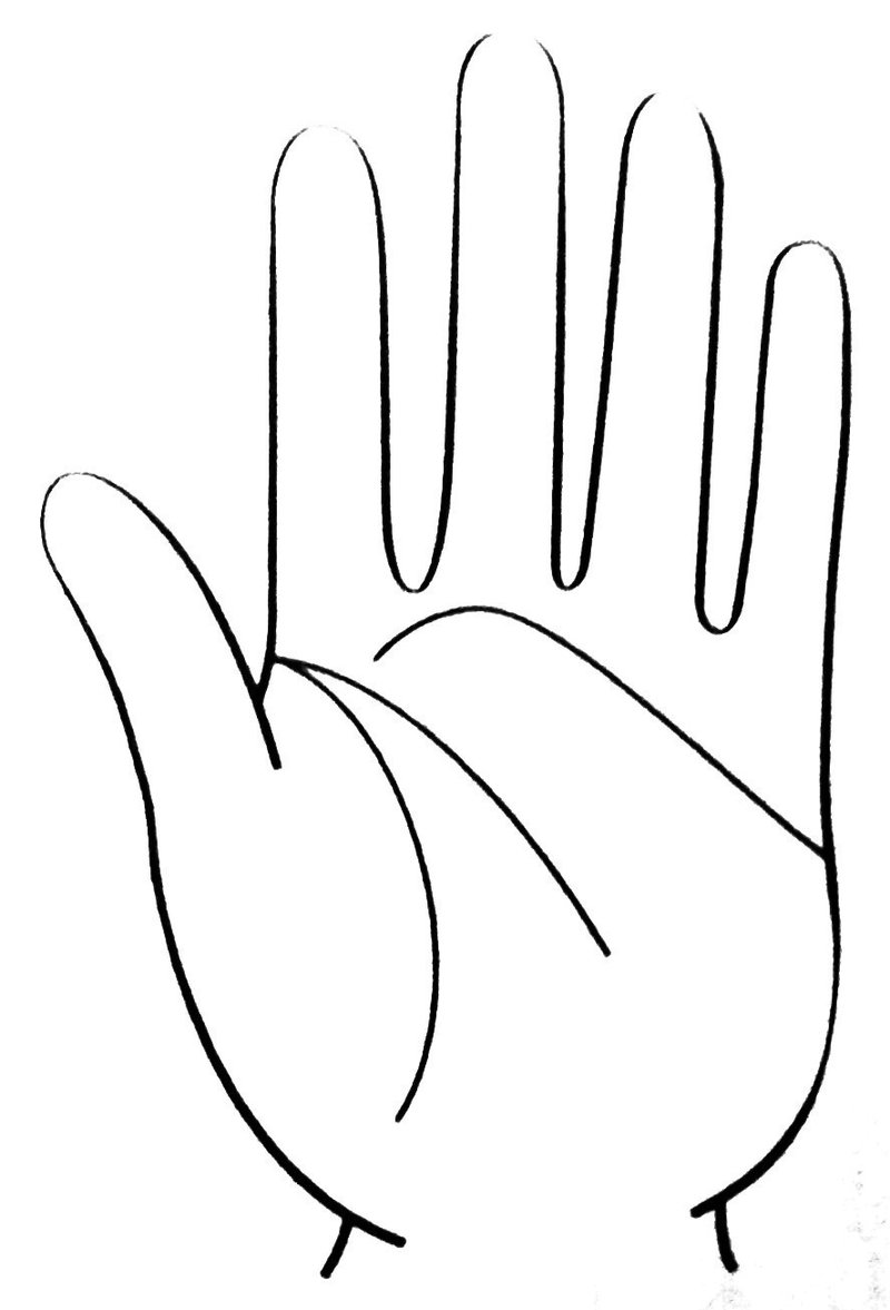 2 女性の幸せを招く手相入門 基礎編 三大掌線 中井ひろし Note