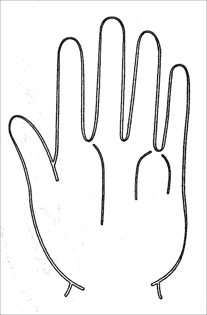 3 女性の幸せを招く手相入門 基礎編 運命三線 中井ひろし Note