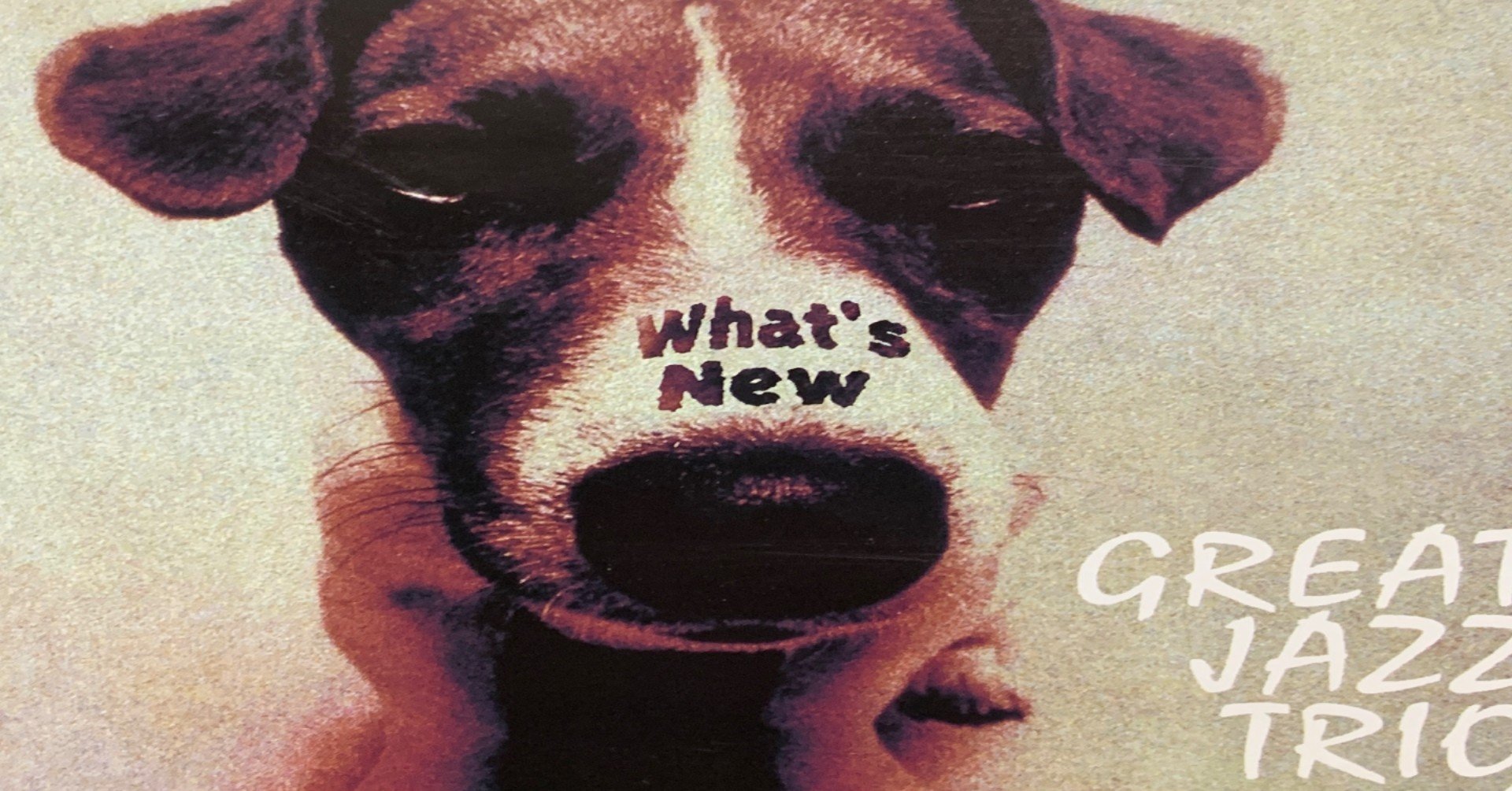 今までのレコーディングを振り返る vol20 「What's New」Great Jazz