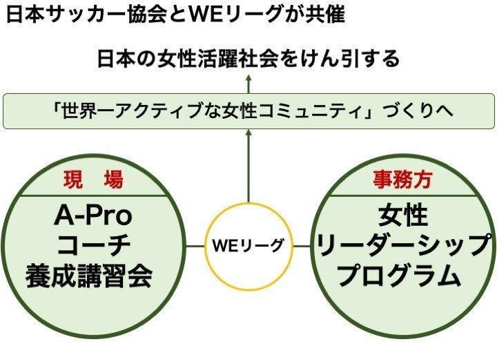 女子サッカーとsdgs 石井和裕 Ece Malicia Note
