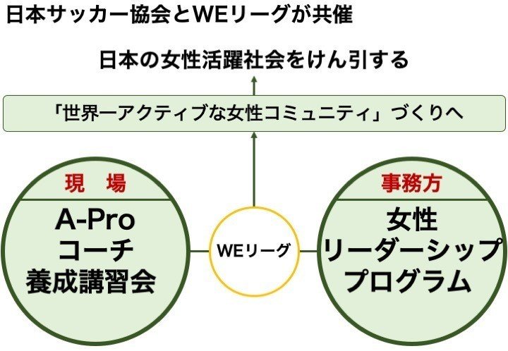 模式図A-Pro