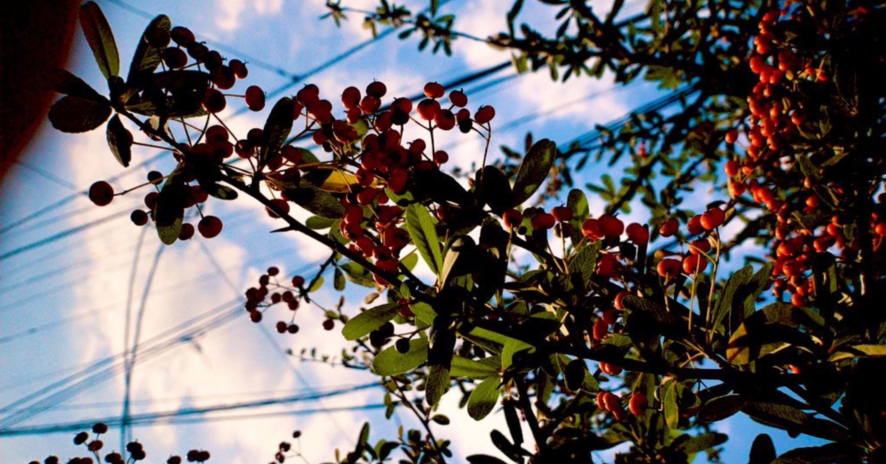 お先真っキラキラ 夢を語ろう もちづきひでき シンガーソングライター アパレルブランド立ち上げ 写真家 ラヂオ Note