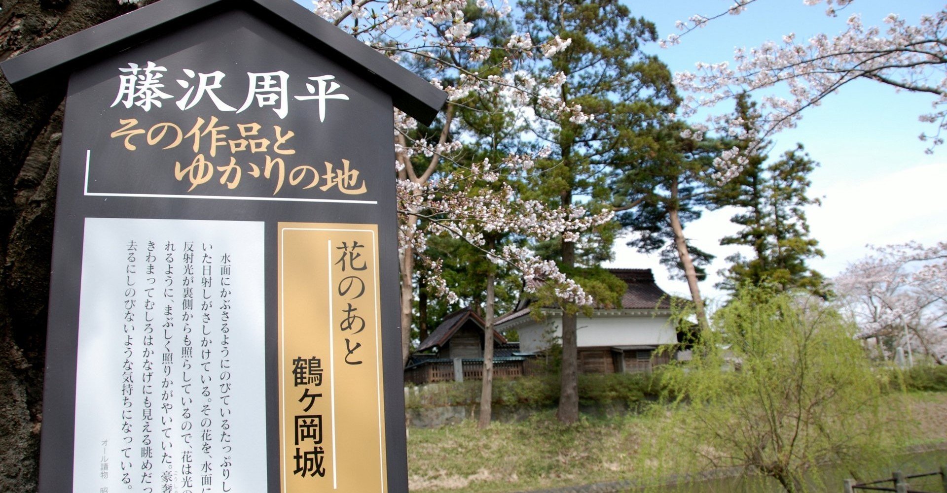 藤沢周平『蝉しぐれ』《砂に埋めた書架から》45冊目｜海亀湾館長