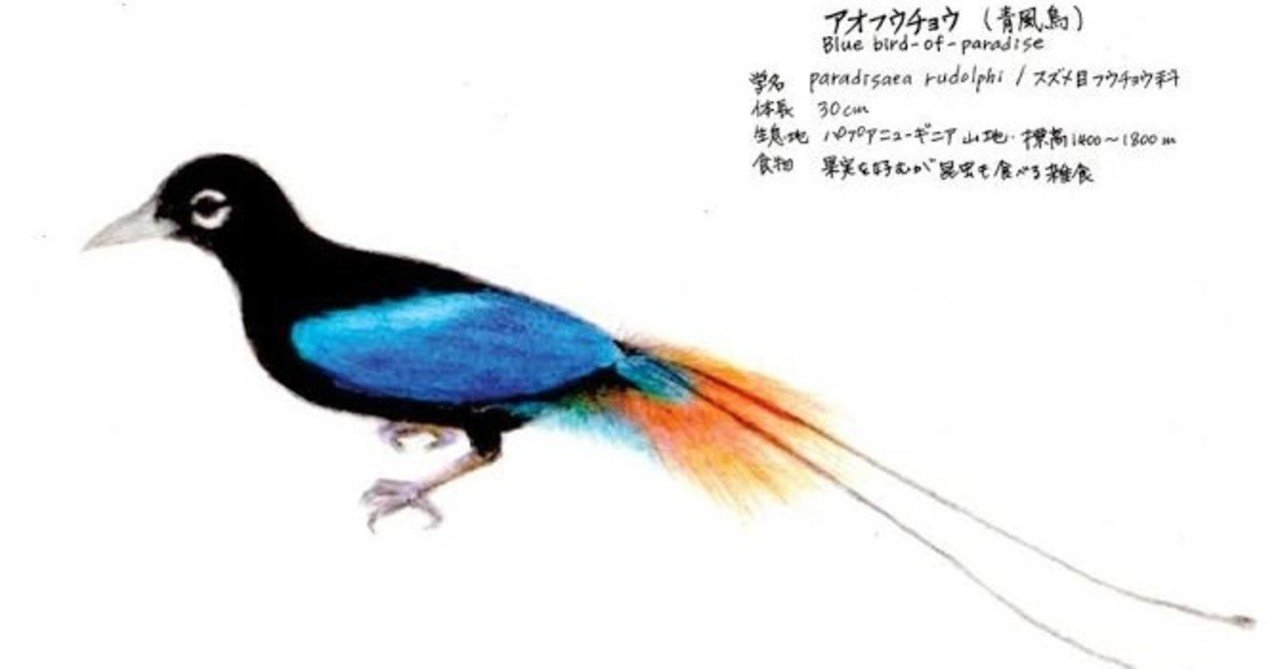 第1279回 日本の尾羽が長い野鳥は?|翆野 大地 第1279回 日本の尾羽が長い野鳥は?|翆野 大地