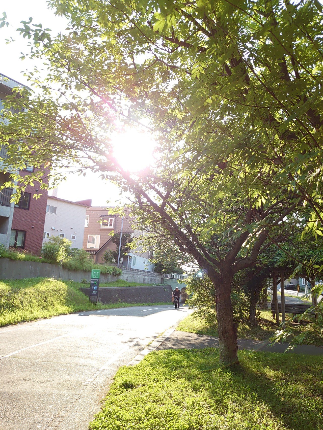 １５ 鎧 とノートに書く 夜の露 濡れないミスト 皮膚の生地の下 ながれる音 きいてる おやゆびの聴診 力を抜いて 加圧する 放物線 できたんだろう ピスタチオ いたいじゃないか 鉄のカミヒ あしたパスタ O Note