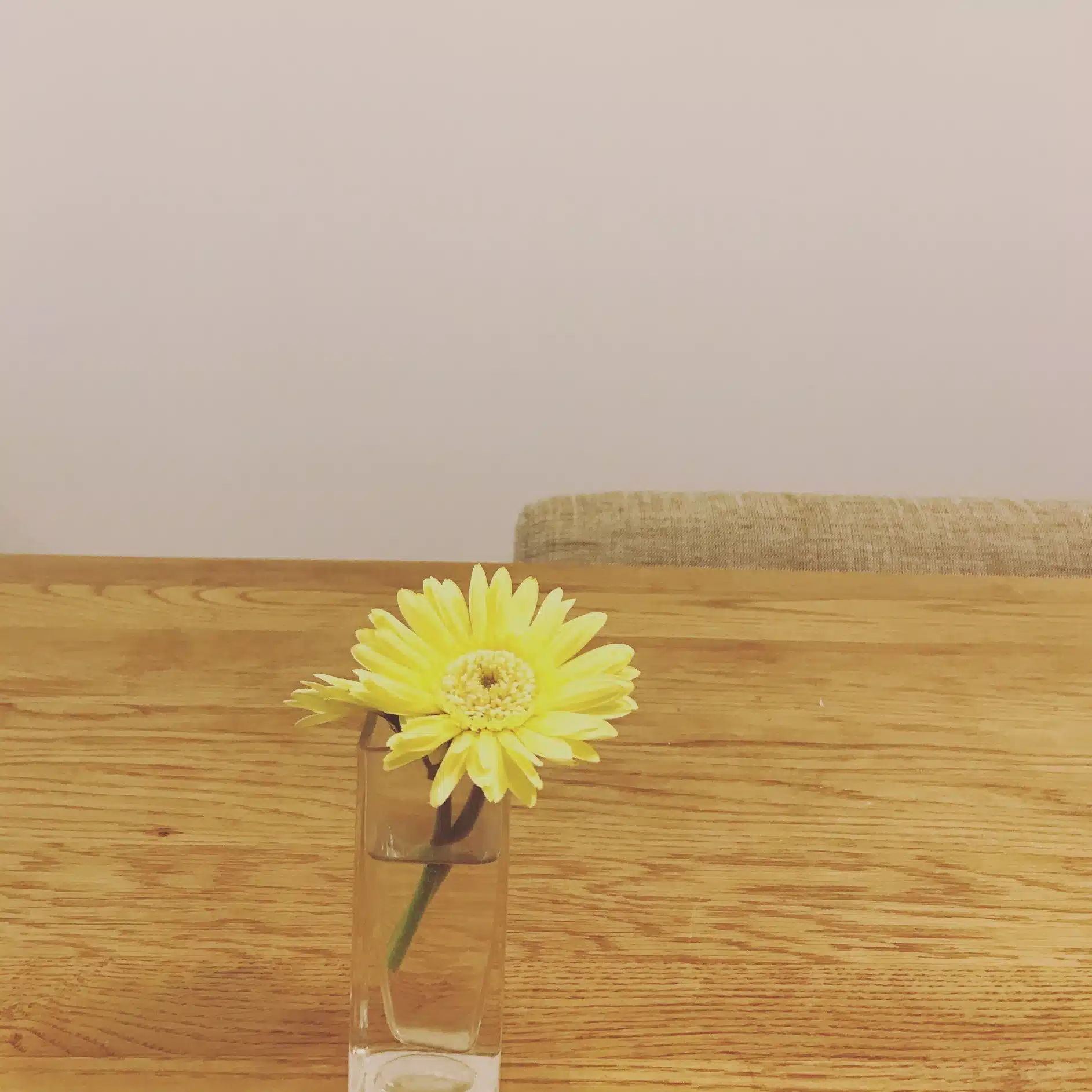 祐子／Yuko.