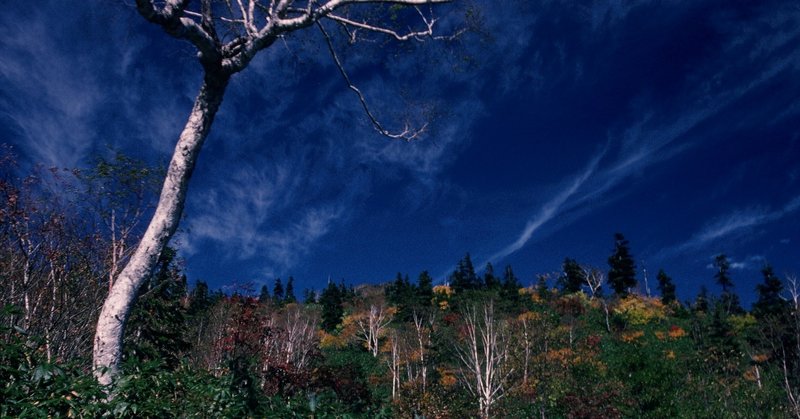 キロン ちょっとだけ補足シリーズ ワン 太郎 Note