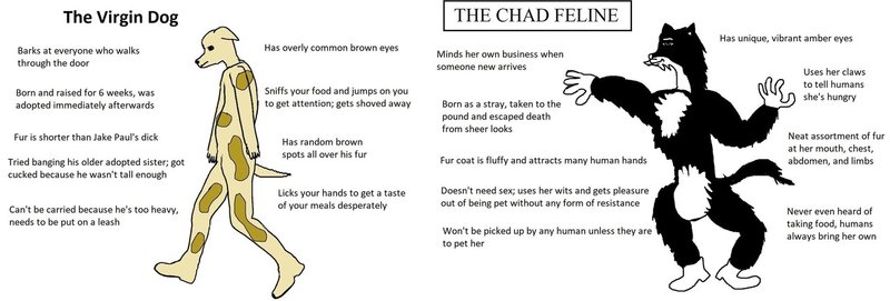 Meme解説 Virgin Vs Chad かわった教師 ネイティブ英語 Note
