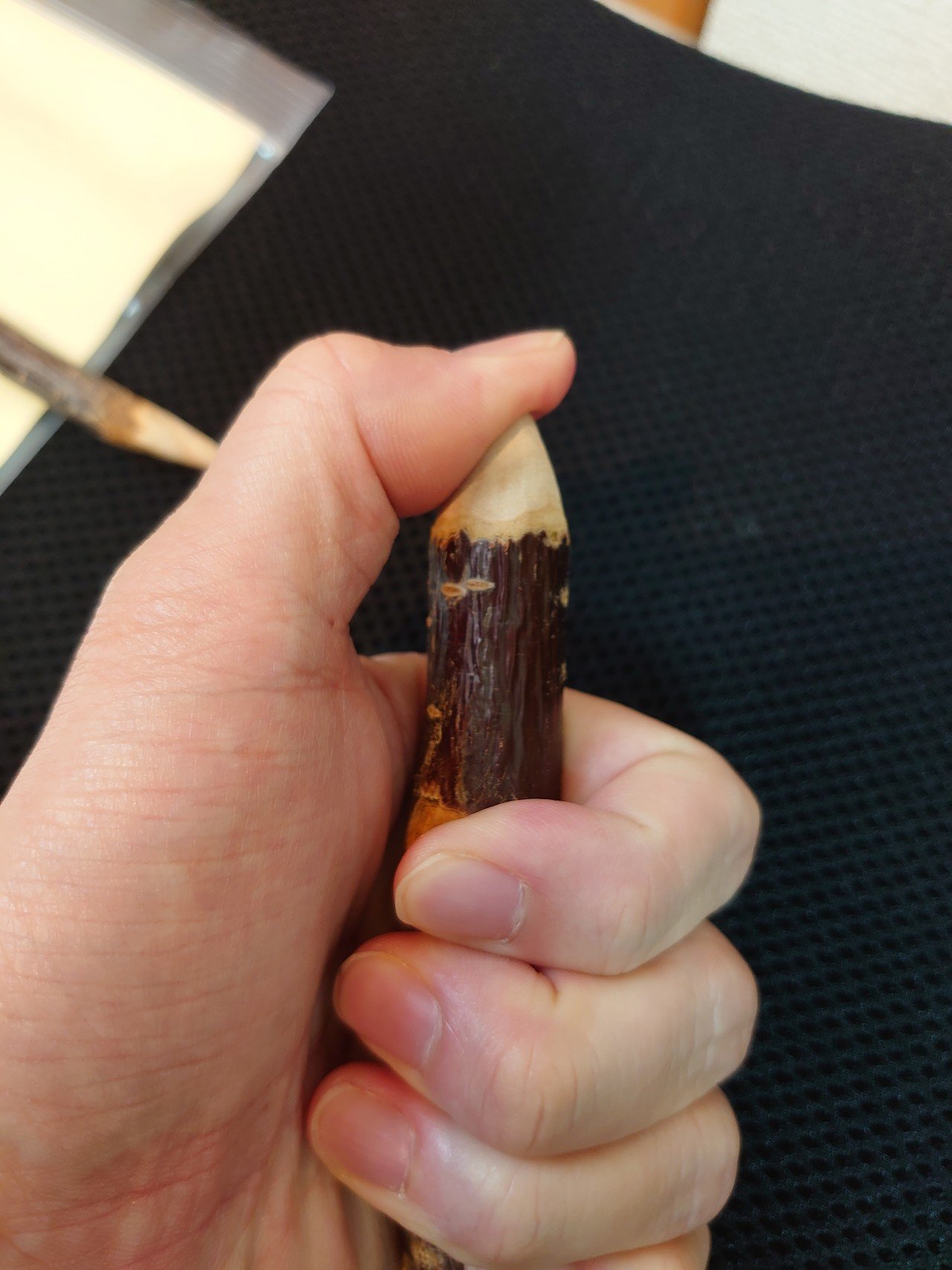 地球こうさてん 佐藤錦マッサージ棒 あしたパスタ Note