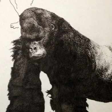 ブチ＠大学教員