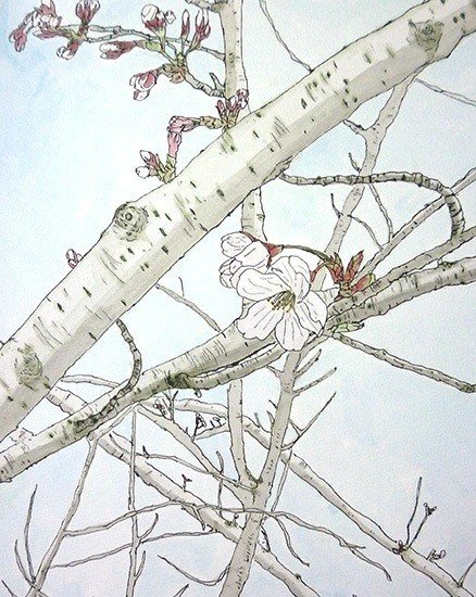 桜 水彩スケッチ 深呼吸 Note