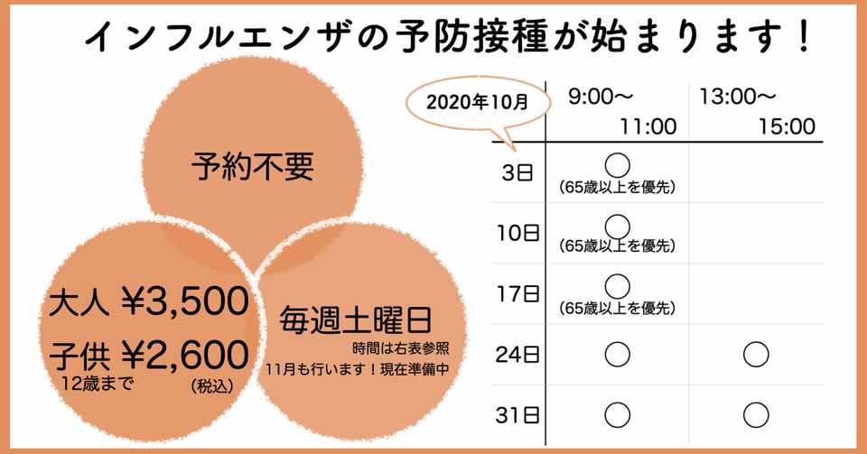 ほっちのロッヂのインフルエンザワクチン 始まります 予防接種 インフルエンザ Hotch Lodge