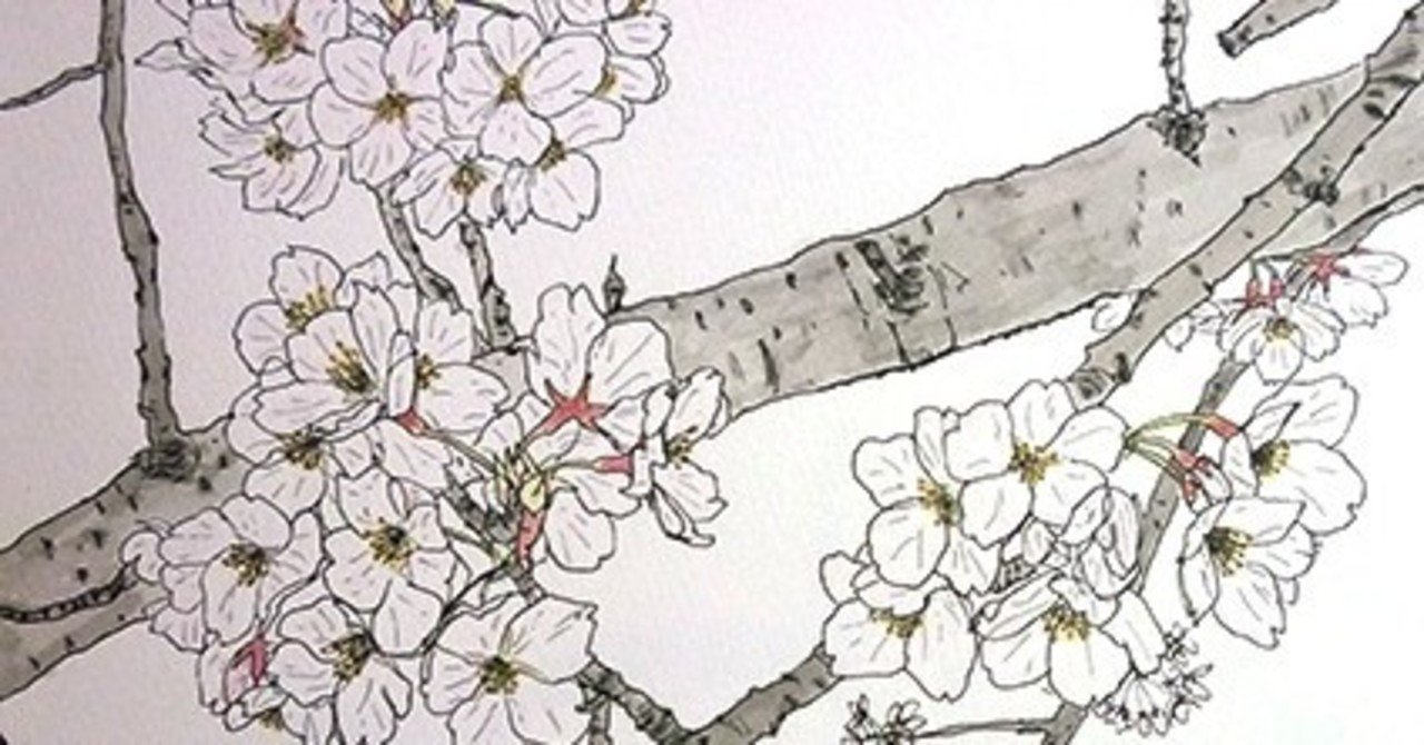 桜 水彩スケッチ 深呼吸 Note