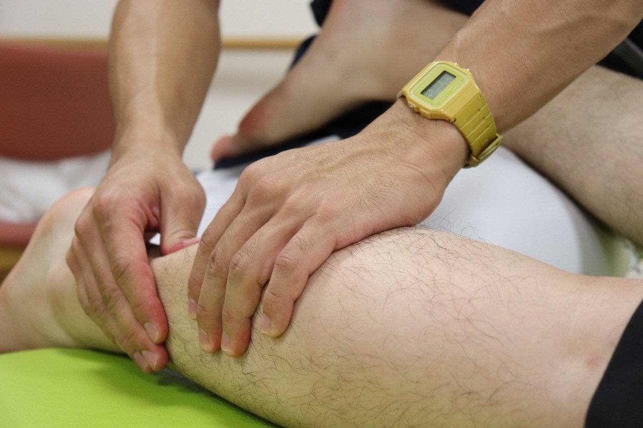 運動器の書籍紹介〜Center of the body 体幹の謎を探る｜メディ