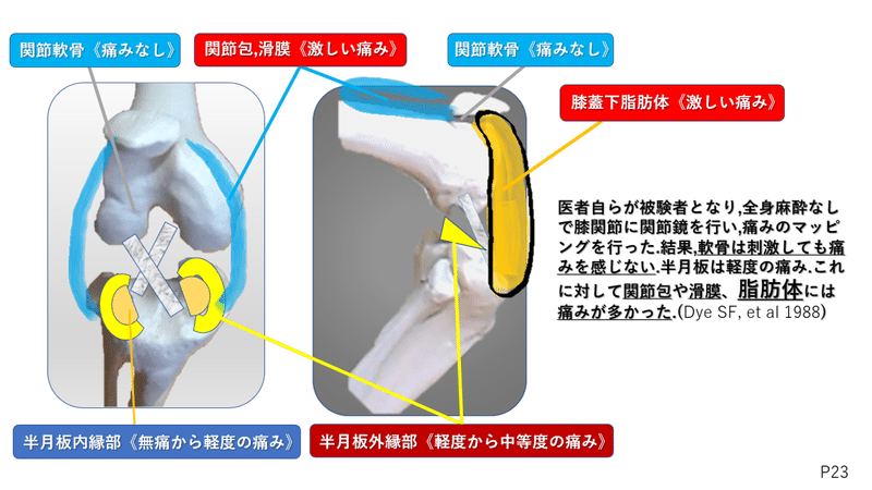 画像30