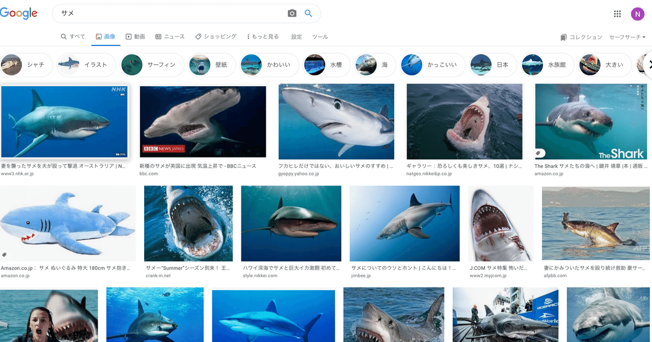 日常にサメを の新着タグ記事一覧 Note つくる つながる とどける