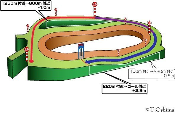 10/4(日) 中山競馬場 馬場状態＆全レース分析(展開注目データ
