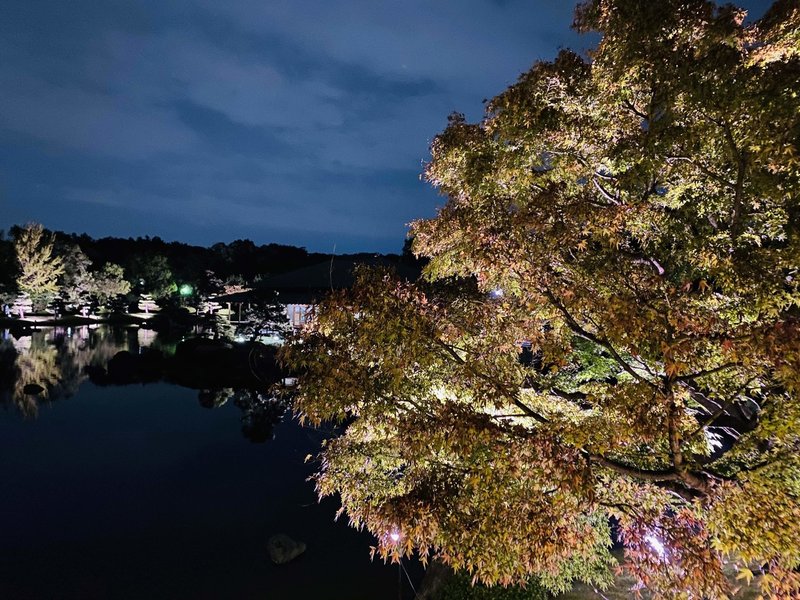 秋 大仙公園 日本庭園 ライトアップ 紅葉 感謝 よしくん Note