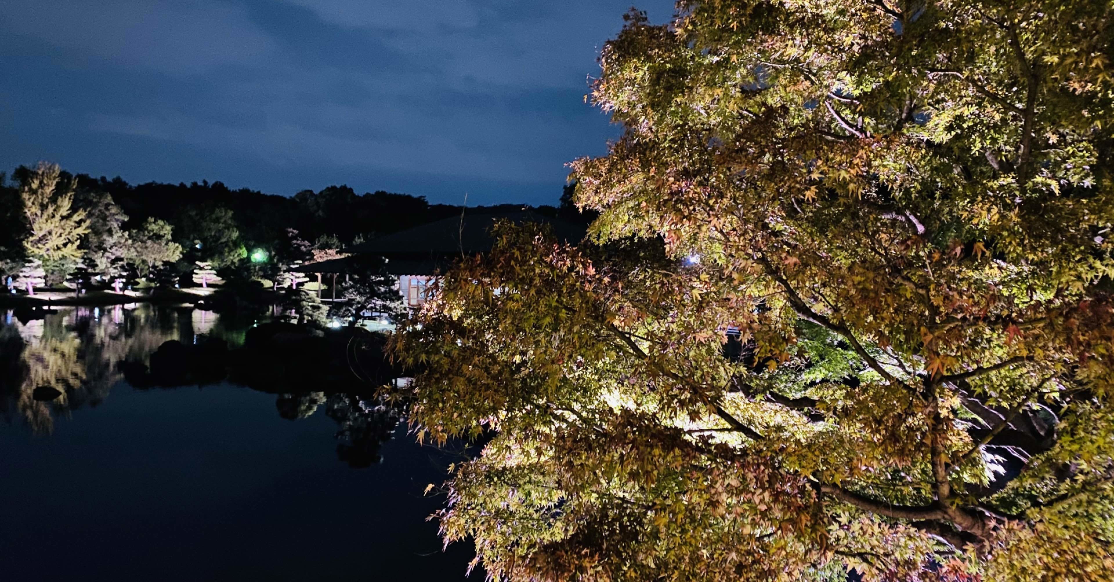 秋 大仙公園 日本庭園 ライトアップ 紅葉 感謝 よっさん Note