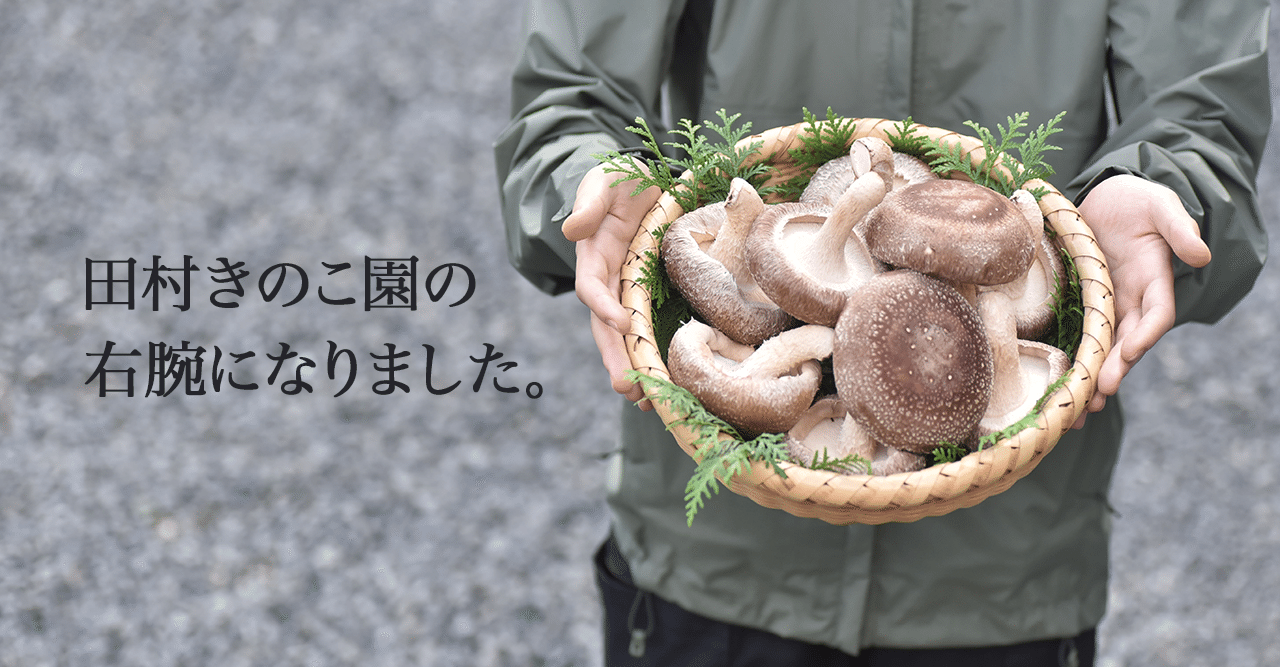 田村きのこ園の右腕になりました。｜川島ひらく