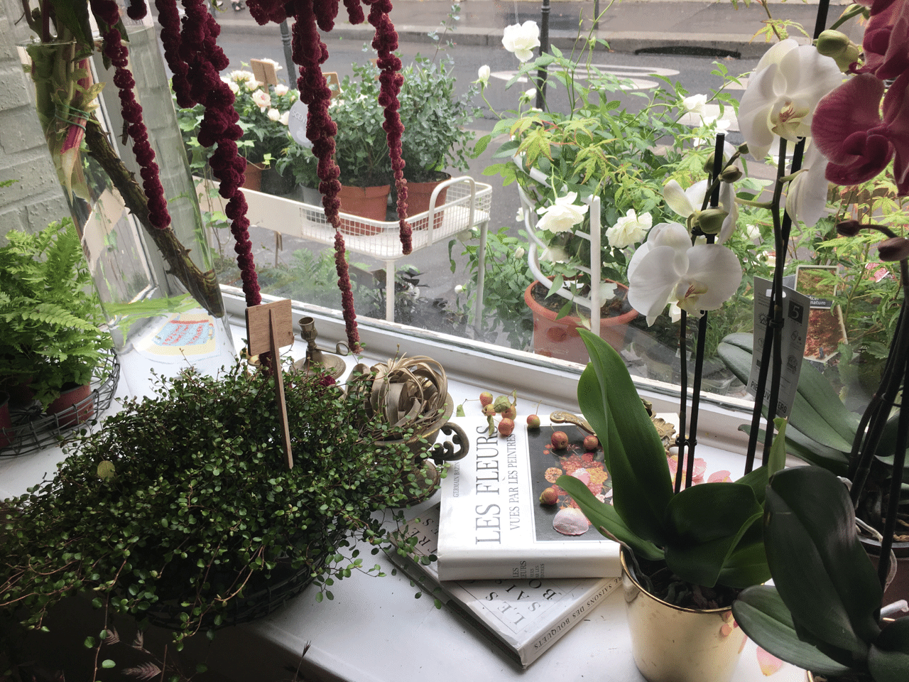 パリの花屋openへ 中村綾花 Ayaka Nakamura Note