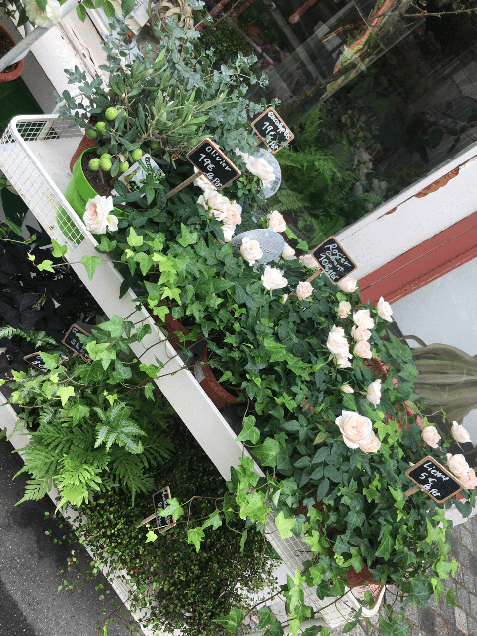 Paris vlog. I visited a lovely flower cafe and went to