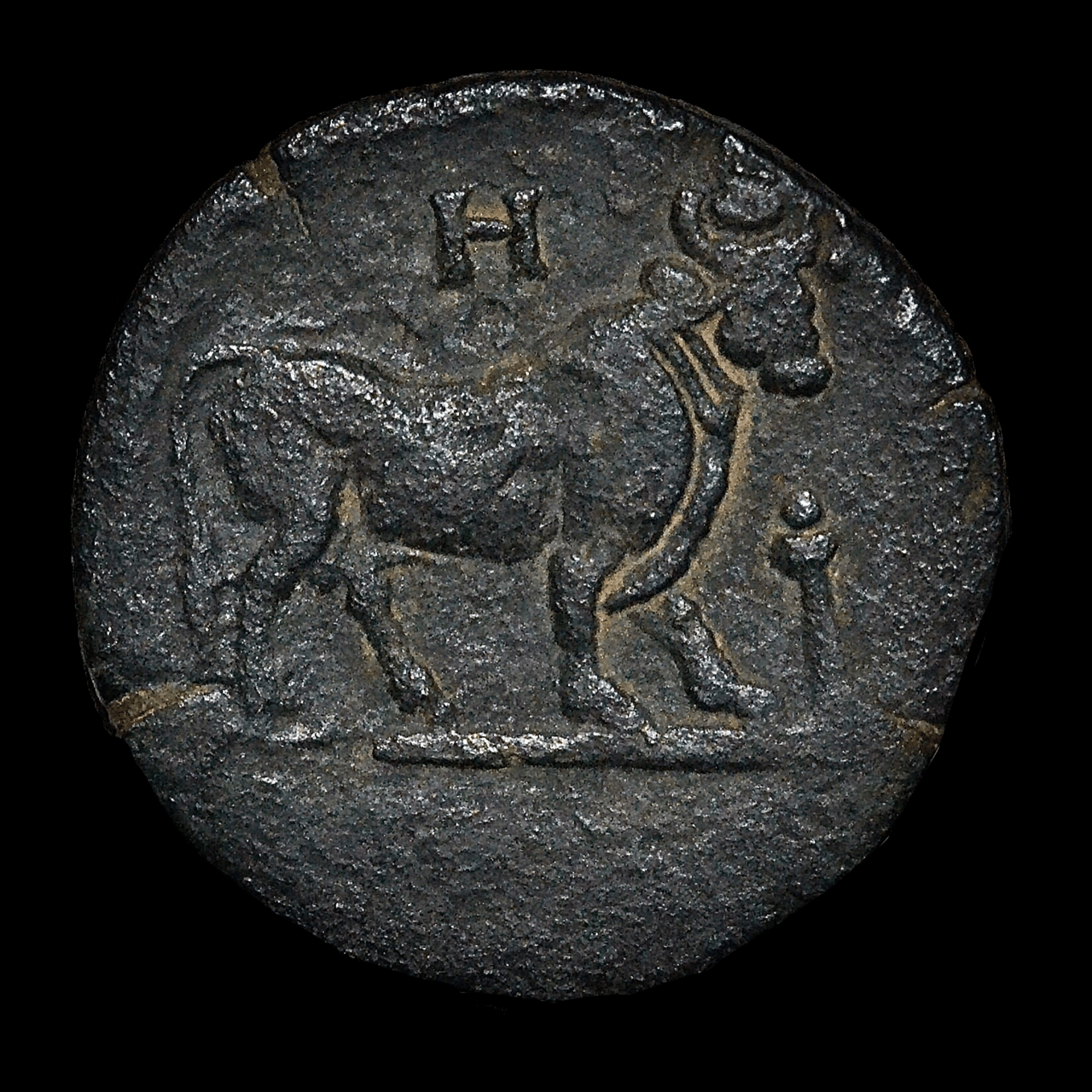 アンティークコインの世界 〜エジプト属州貨〜｜Shelk🦋