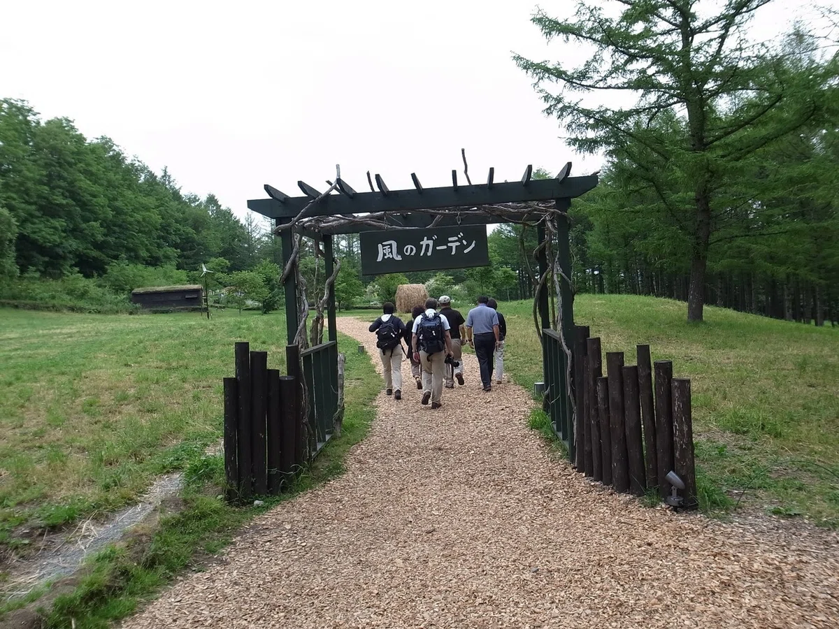 画像14