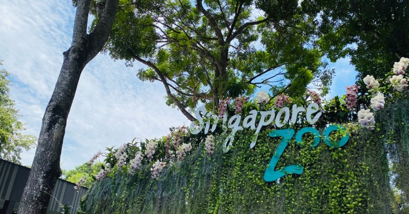 シンガポール動物園は想像以上｜Re:🇸🇬《2020年10月3日》
