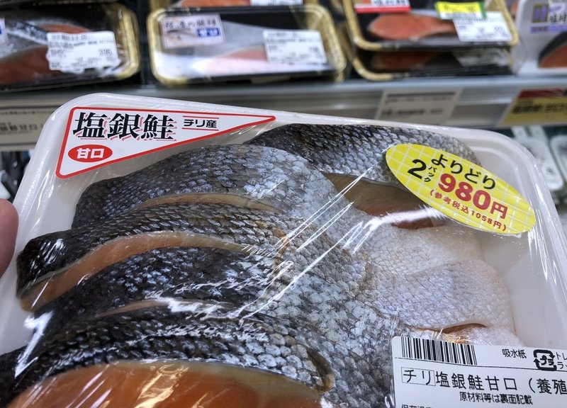 さかなクンvs俺 鮮魚コーナーでの死闘 意識高い系中島 Note