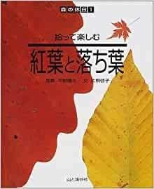 紅葉と落ち葉