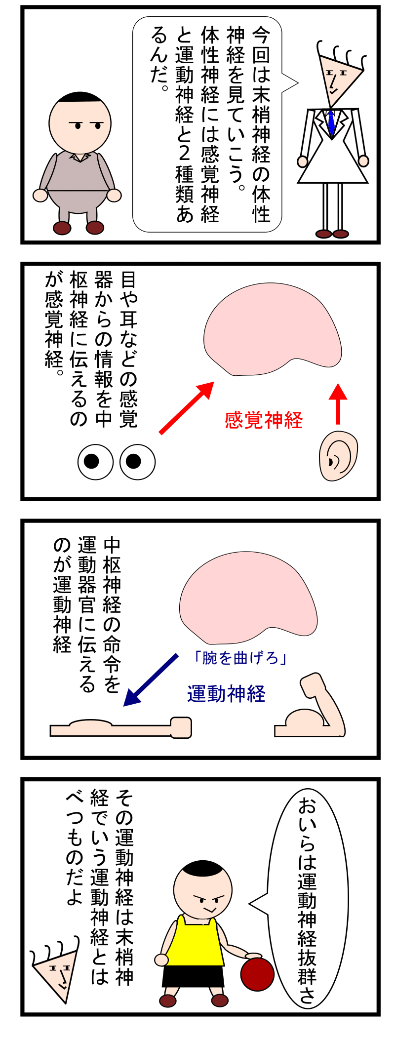 第話 神経系5 運動神経って何 ずんだーれ Note 第話 神経系5 運動神経って何 ずんだーれ Note