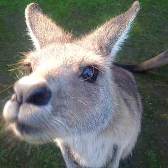 ムール貝 の新着タグ記事一覧 Note つくる つながる とどける