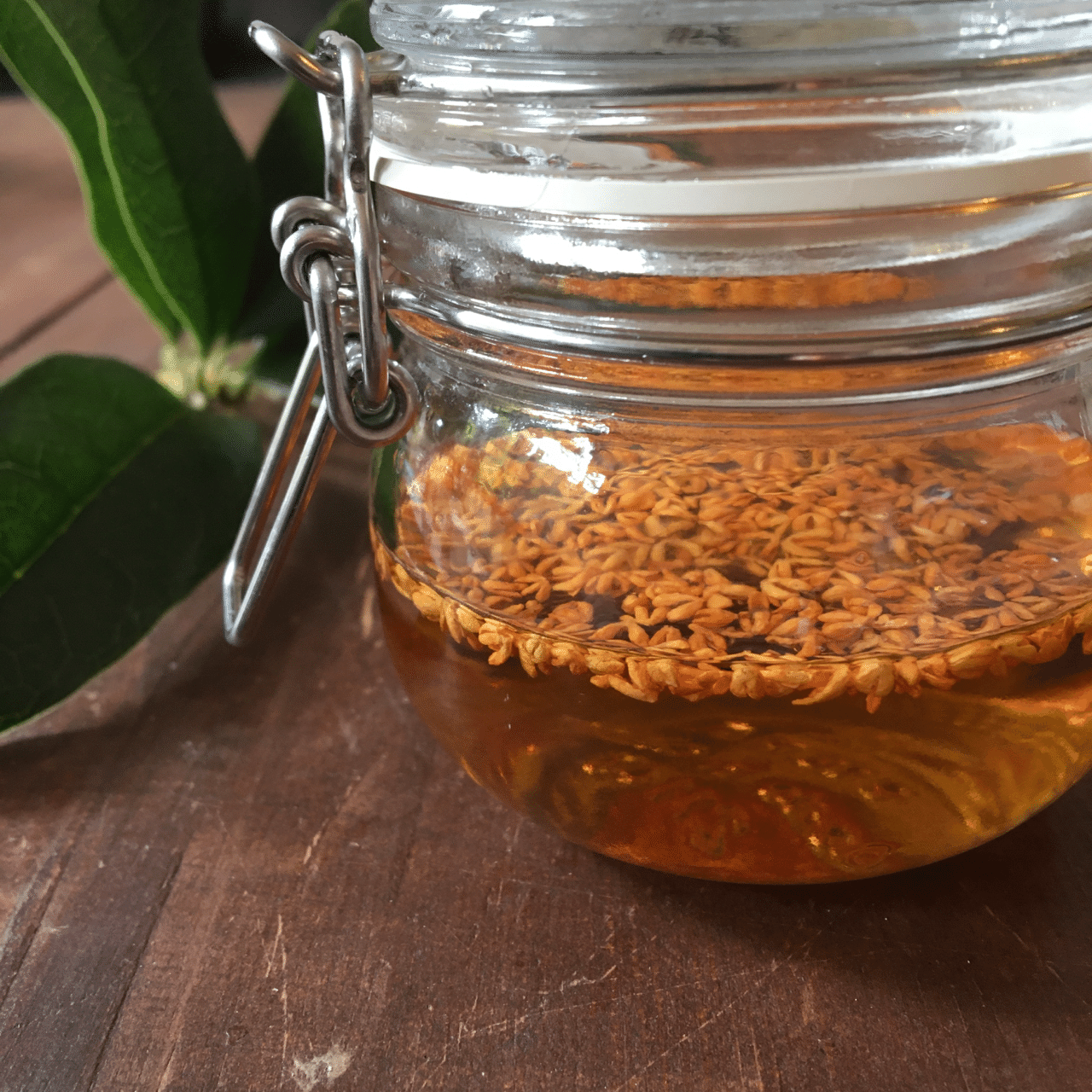 桂花醤 キンモクセイゼリー|Happy☆Smile 自然療法アニマルホメオパス