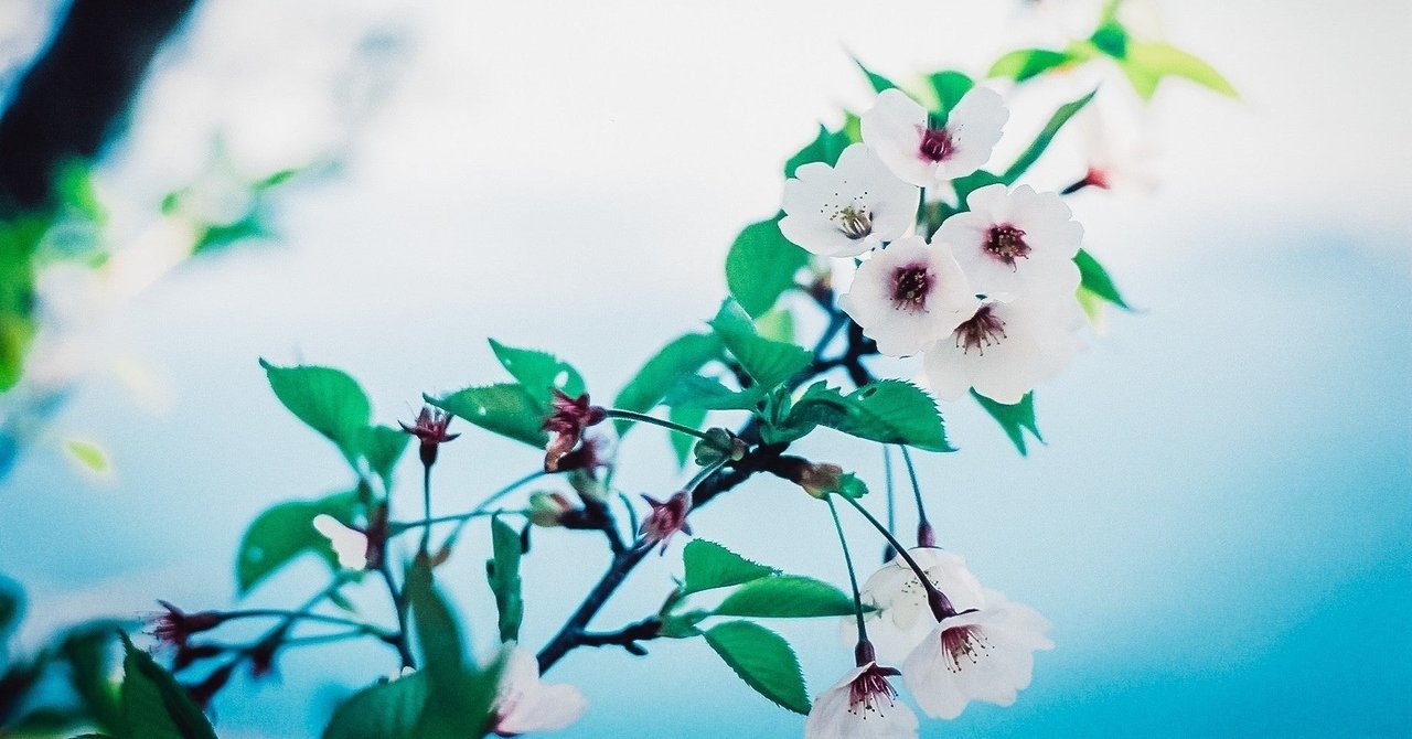 編集者・ライター、elle