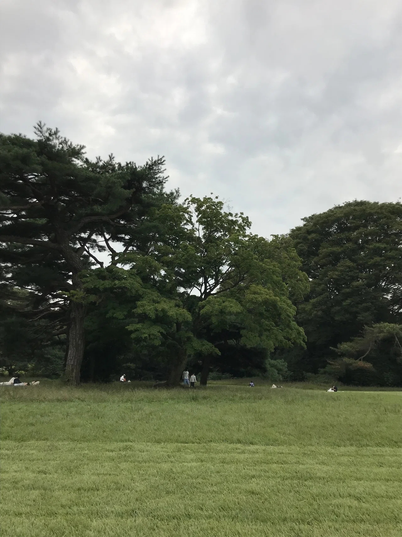 いい季節になりました 芝生のある大型公園で親はお昼寝 子供は散策 兼業主夫パパ Note