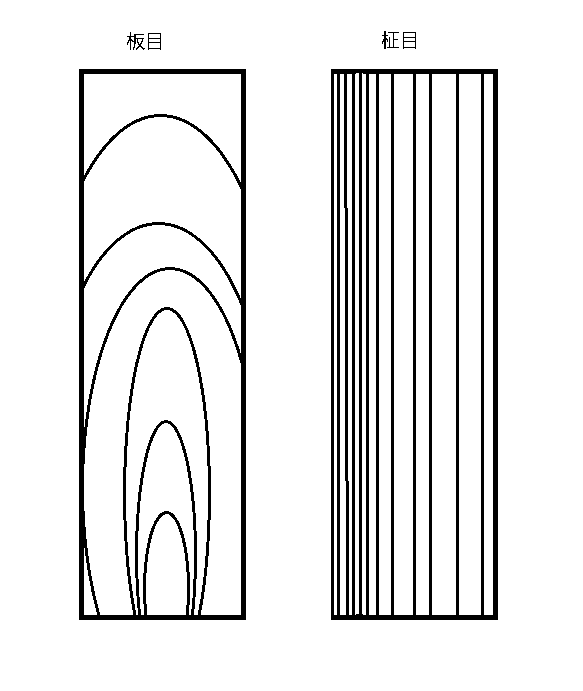 木を知るほどに木を知らないことを知る あひる K組 Note