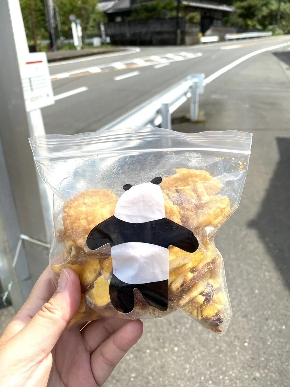 画像5