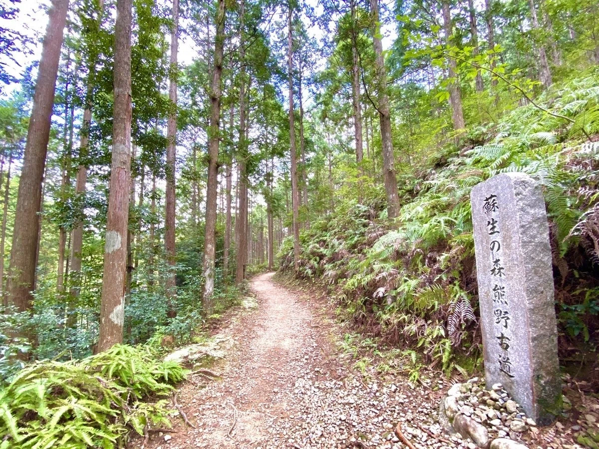 画像7