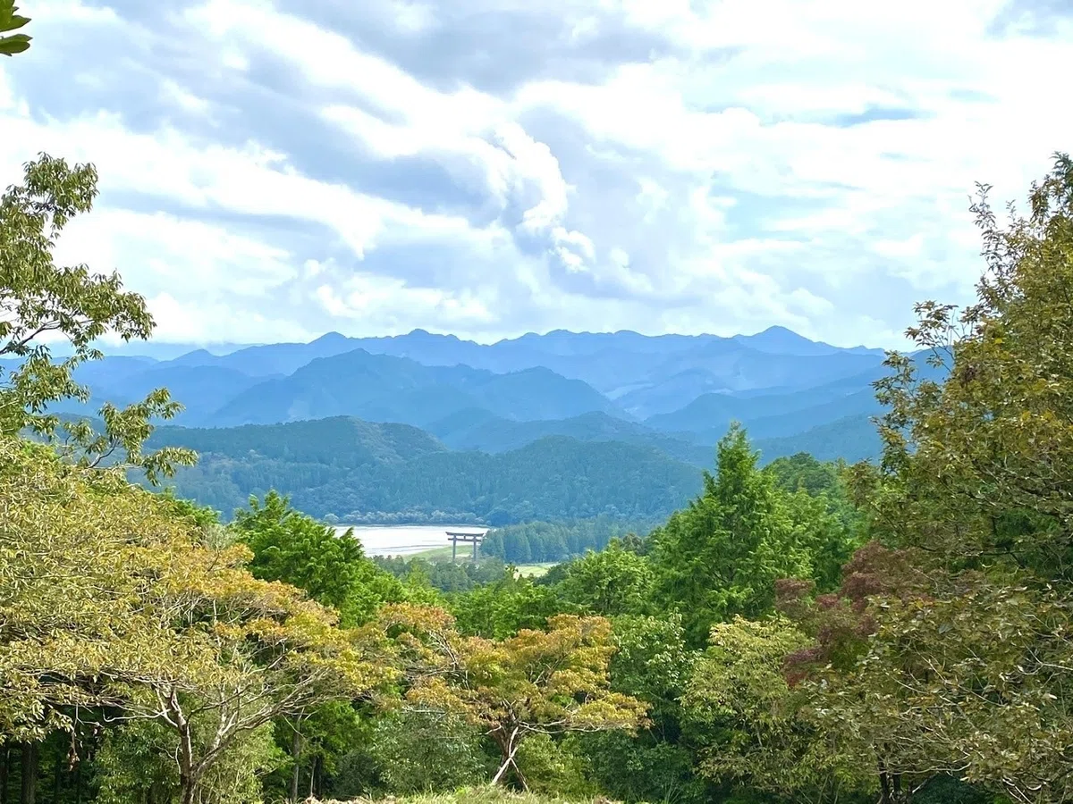 画像11