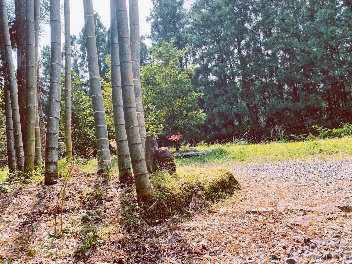画像16