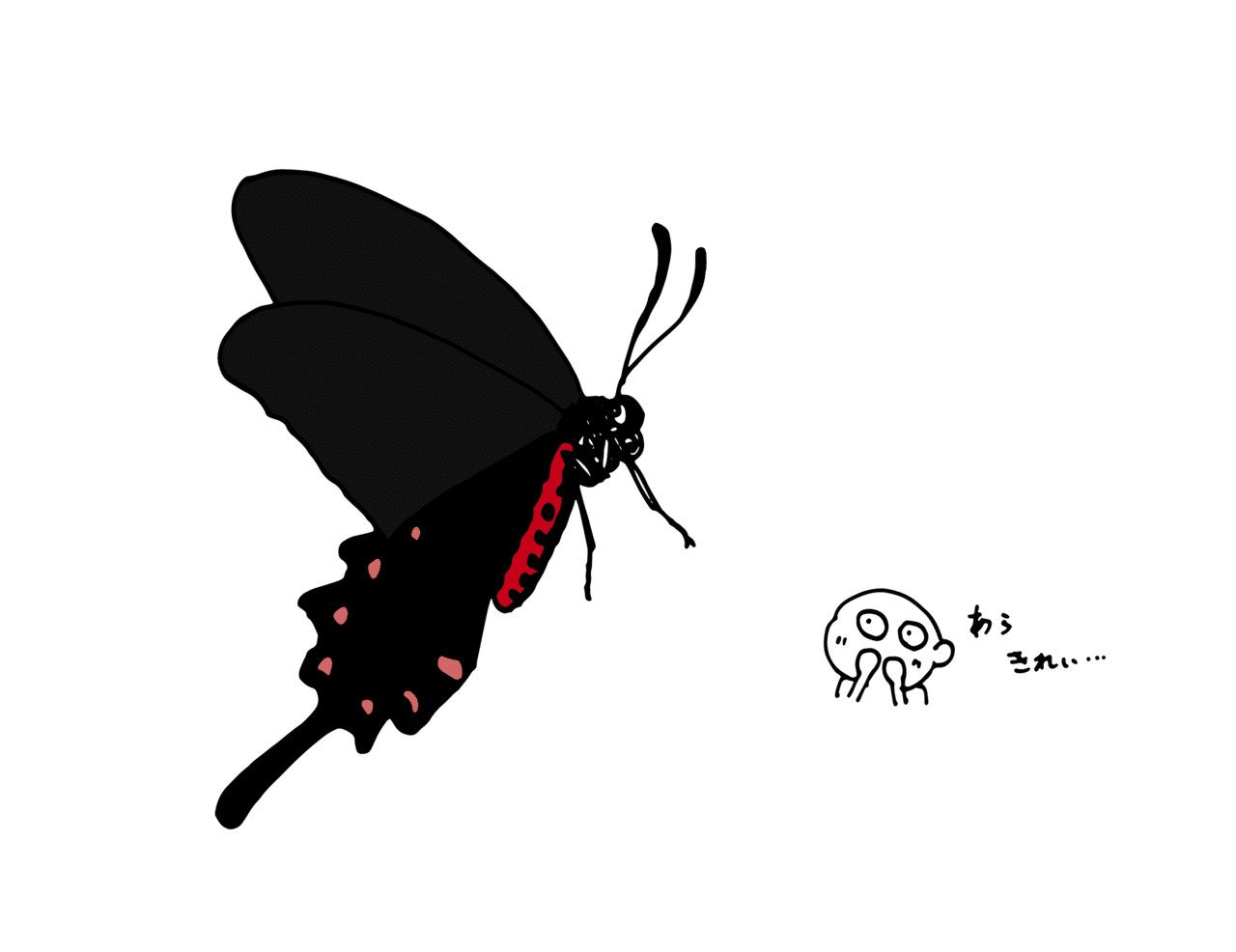 優雅に舞う毒蝶ジャコウアゲハの影響力 浜松科学館 みらいーら 優雅に舞う毒蝶ジャコウアゲハの影響力 浜松科学館 みらいーら