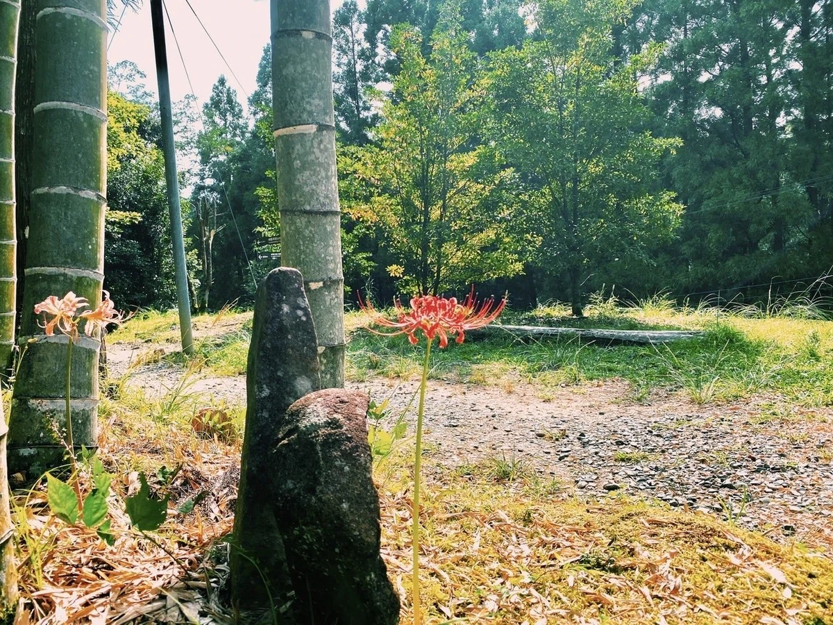 画像20