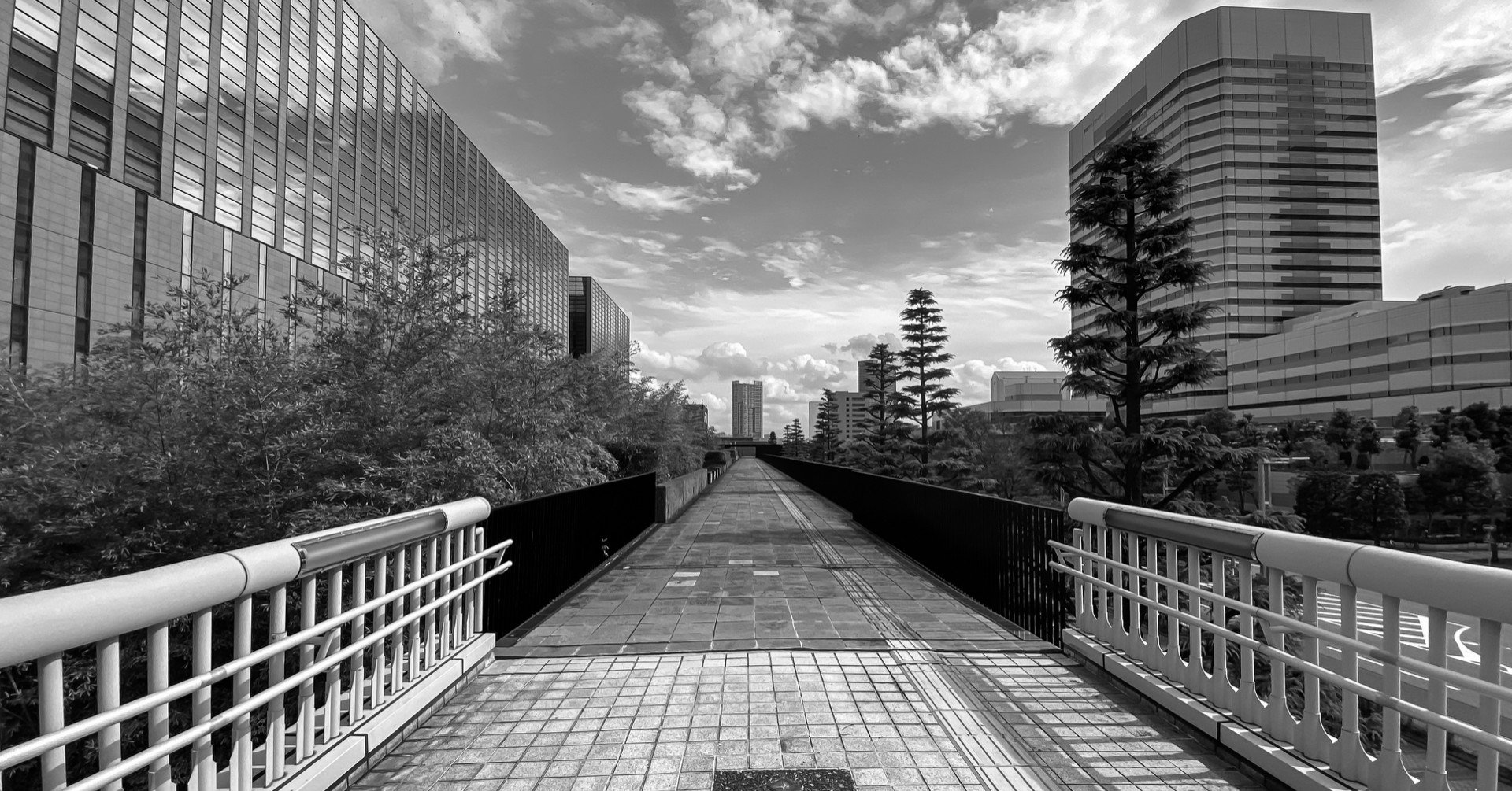 スマホの液晶を白黒にして 日常に潜んだ別の世界を写してみよう アブくん Note スマホの液晶を白黒にして 日常に潜んだ別の世界を写してみよう アブくん Note