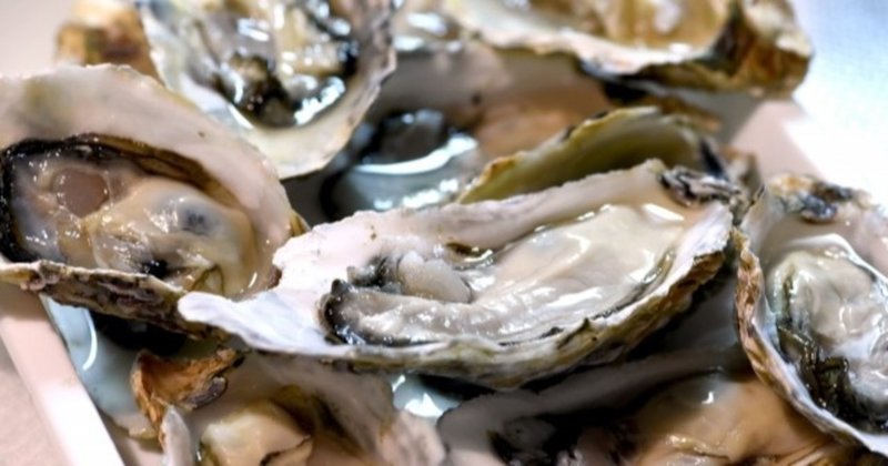 牡蠣の緑色の部分って何なの 食べられる どうして緑色なの 牡蠣マニア Note