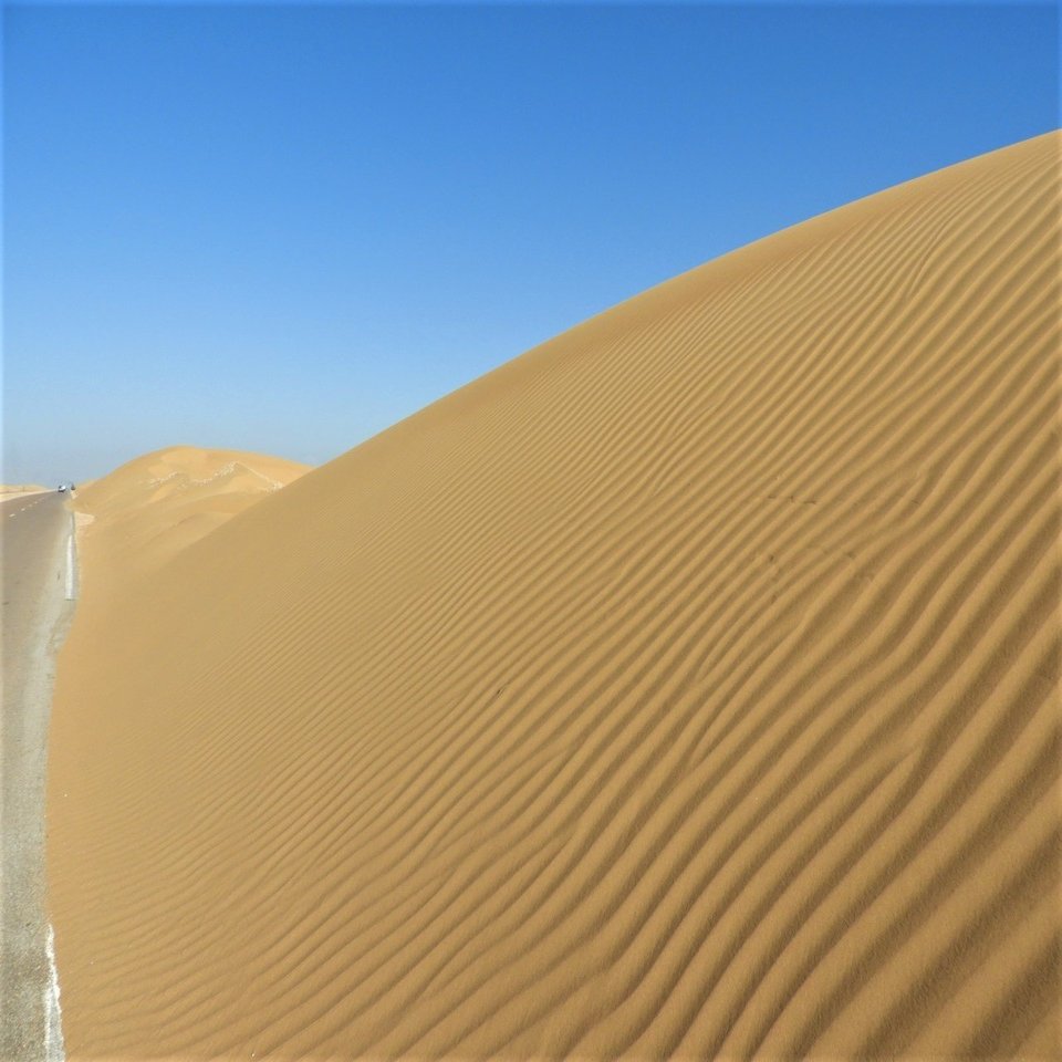 西サハラ、存在しているのに存在しないことになっている空白地帯｜浅地亮の自転車旅で見る世界