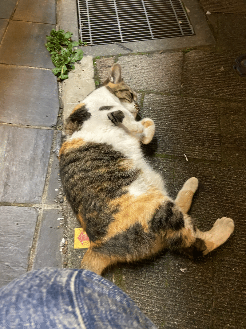 週刊note 甘える猫 ロビンソンズ 北澤ひとし Note 週刊note 甘える猫 ロビンソンズ 北澤ひとし Note