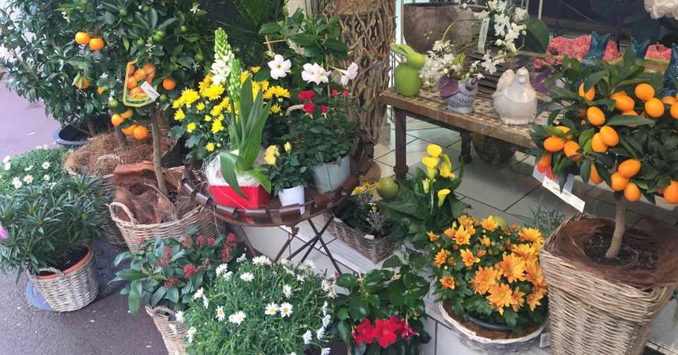 フランス語検定まで後41日 スタージュの思い出 オルタンシア Note