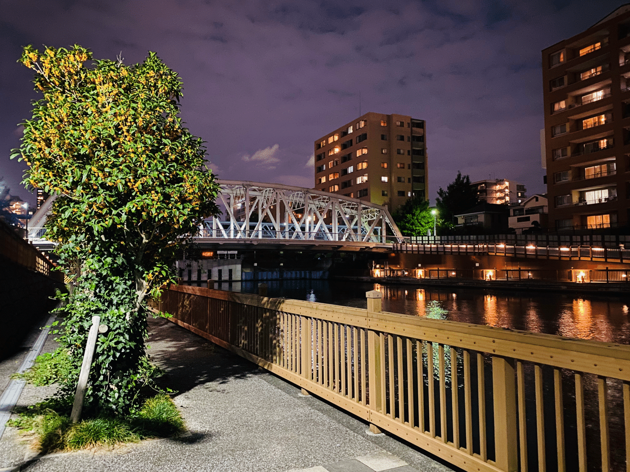 夜の小名木川でハゼ が入れ食い Salty Note